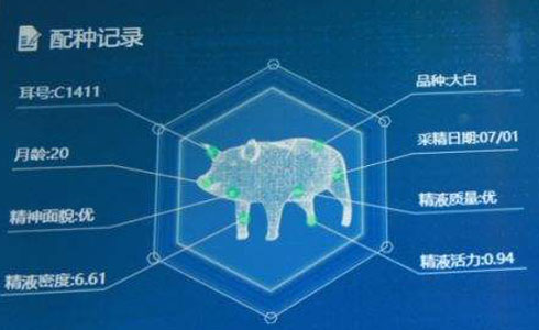 人工智能即将在养殖行业应用